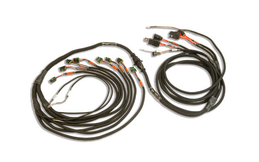 FuelTech PRO550/PRO600 V8 IGN1A Smart Coil Harness